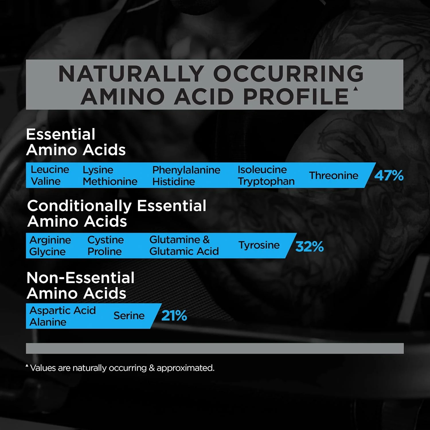 Rule 1 R1 Whey Blend - Image 15